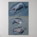 Suche nach study poster Drawing