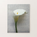 Suche nach calla puzzle Blume