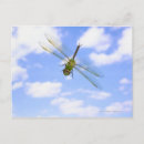 Suche nach flies postkarten Natur