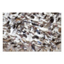 Suche nach aachen poster Natur