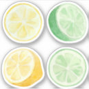 Suche nach lemonade aufkleber Zitrusfrucht