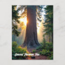 Suche nach sherman postkarten Nationalpark sequoia