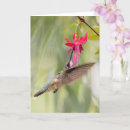 Suche nach fuchsie karten Kolibris