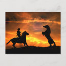 Suche nach wildpferde postkarten Hengst