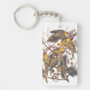 Suche nach parakeet accessoires Natur