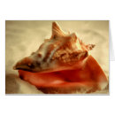 Suche nach tritonshorn postkarten Muschel