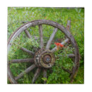 Suche nach historisch fliesen Danita delimont