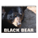 Suche nach bär kalender Wilde tiere