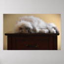Suche nach merkwürdig kunst Katze