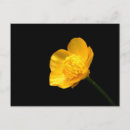 Suche nach rep postkarten Schwarz