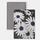 Suche nach kontrast magnete Blume