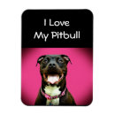 Suche nach pitbull magnete Hund