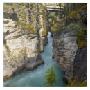 Suche nach felsige berge fliesen Nationalpark