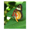Suche nach wirbellose tiere poster Natur