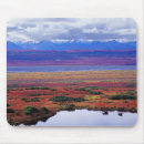 Suche nach tundra mousepads Natur
