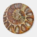 Suche nach fossil magnete Prähistorisch