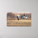 Suche nach trio leinwandbilder Gänse