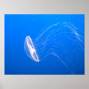 Suche nach tentacle poster Ocean