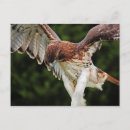 Suche nach rapp postkarten Jede person