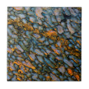 Suche nach knochen fliesen Fossil