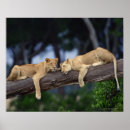 Suche nach kenya poster Outdoors