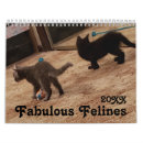 Suche nach redewendungen kalender Jede person