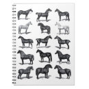 Suche nach reitlehrer geschenke Reiter