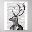 Suche nach weißer hirsch poster Tiere