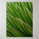 Suche nach kenia poster Africa