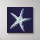 Suche nach muscheln leinwandbilder Seashells