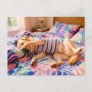 Suche nach lustiger labrador postkarten Jede person