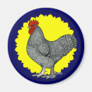 Suche nach rooster magnete Vogelvogel