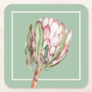 Suche nach protea untersetzer Botanisch