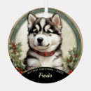 Suche nach alaskan malamute ornamente Welpe