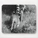 Suche nach langer schwanz mousepads Gehen