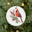 Suche nach weihnachtsvögel ornamente Wintervögel