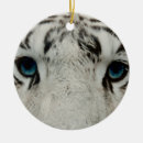 Suche nach sibirischer tiger ornamente Für alle