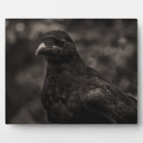 Suche nach gotische fotoplatten Schwarz