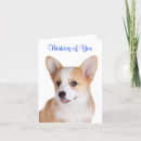 Suche nach pembroke corgi karten Welsh