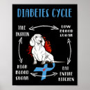Suche nach lebenszyklus poster Diabetiker