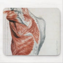 Suche nach menschliche anatomie mousepads Muskel