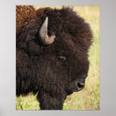 Suche nach south dakota poster Natur