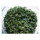 Suche nach kale poster Grün