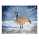 Suche nach wilde gans kunst Wild lebende tiere