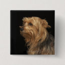 Suche nach yorkies buttons Tier