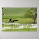 Suche nach buggy poster Landschaft