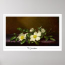 Suche nach martin johnson heade poster Blume
