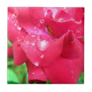 Suche nach rote rose fliesen Romantik