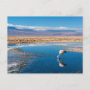 Suche nach san pedro postkarten Chile