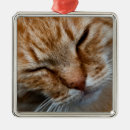 Suche nach kegel ornamente Katze